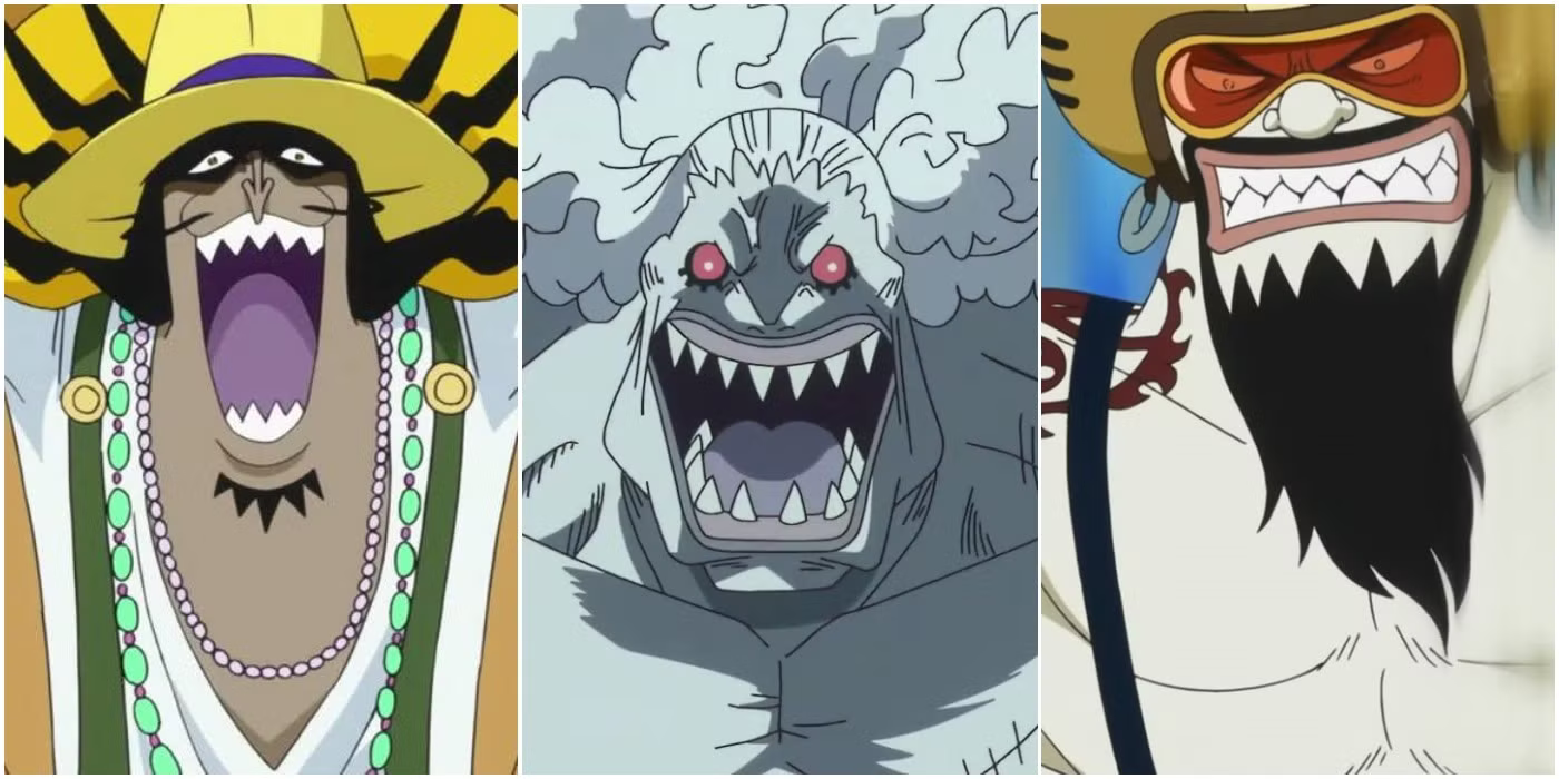 Ilha dos Tritões – Resumo do arco de One Piece