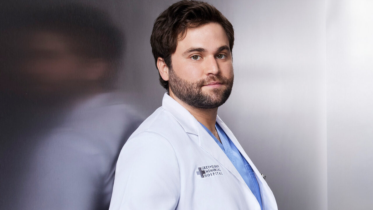 Grey's Anatomy - O que aconteceu com Levi Schmitt?