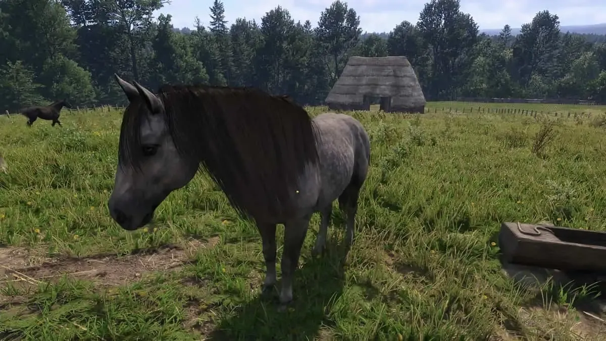 Kingdom Come: Deliverance 2 - Onde encontrar o melhor cavalo do jogo?