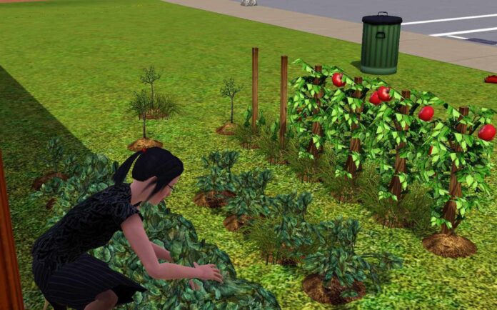 The Sims 3 - Guia de Desafios da Habilidade de Jardinagem