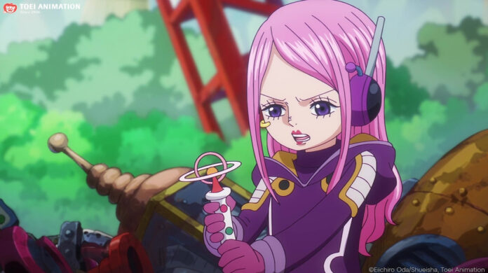 Qual é a verdadeira idade de Bonney em One Piece?