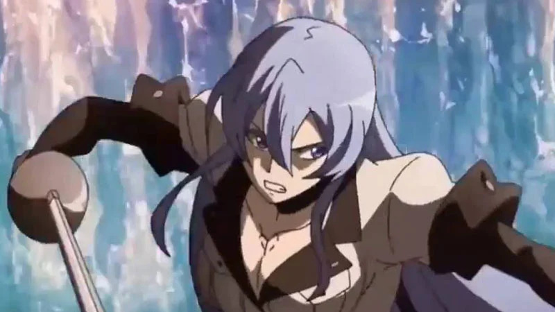 Akame ga Kill - 15 Personagens Principais Ranqueados