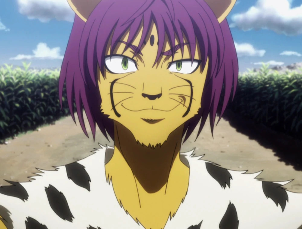 Os 30 personagens mais fortes de Hunter x Hunter