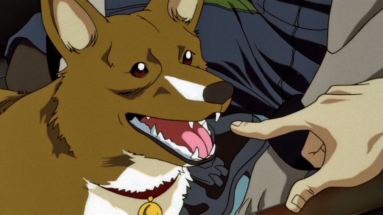 Descubra qual personagem de Cowboy Bebop você seria baseado no seu signo