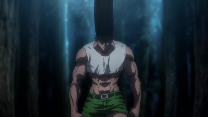 hunter x hunter gon pitou