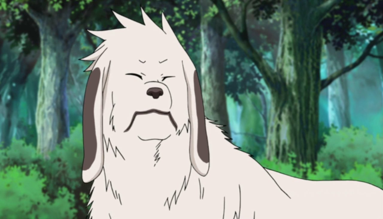 Naruto - Entenda por que Pakkun consegue falar e Akamaru não