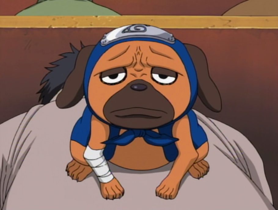 Naruto - Entenda por que Pakkun consegue falar e Akamaru não