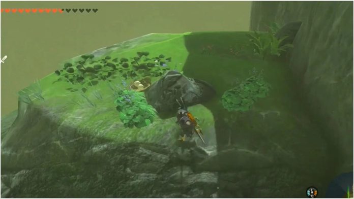 Onde encontrar Ovo de Pássaro (Bird Egg) em Zelda: Breath of the Wild