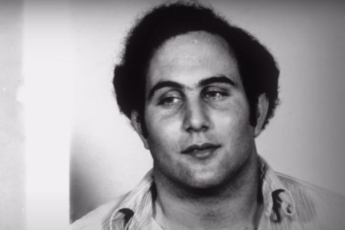 Quem foi David Berkowitz, o verdadeiro Filho de Sam?