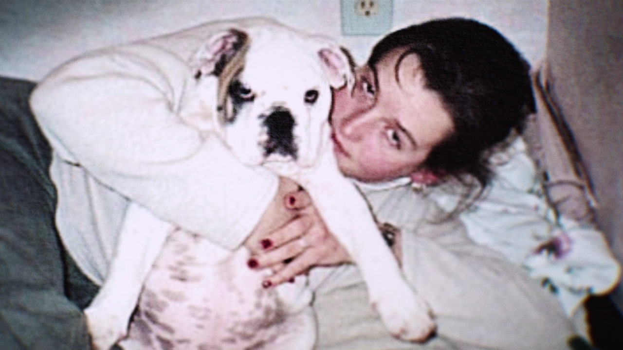 O que aconteceu com Amy Bradley?