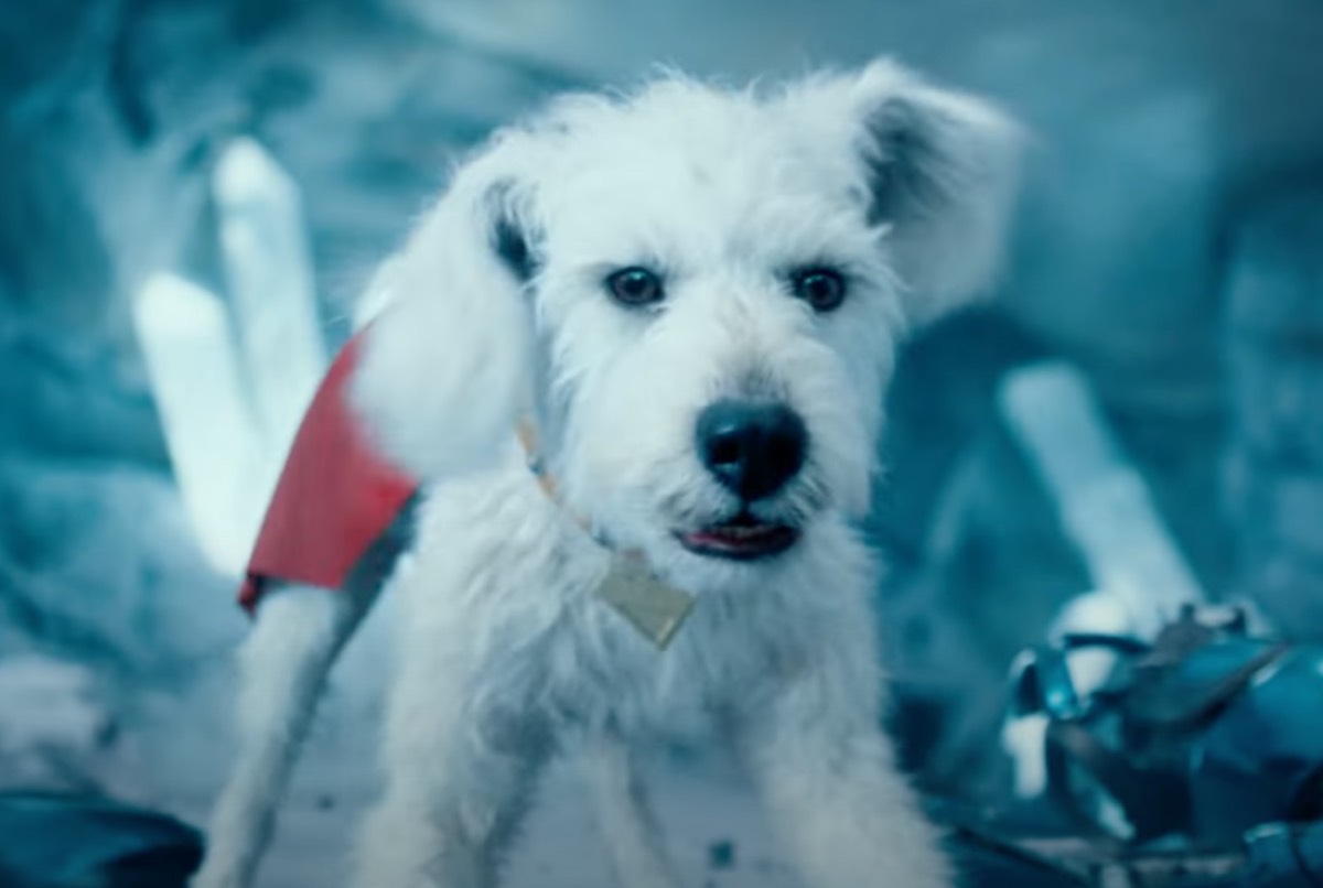 Superman - Tudo sobre os poderes, a origem e a raça de Krypto, o Supercão
