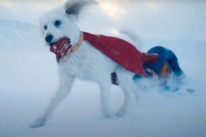 Superman - Tudo sobre os poderes, a origem e a raça de Krypto, o Supercão
