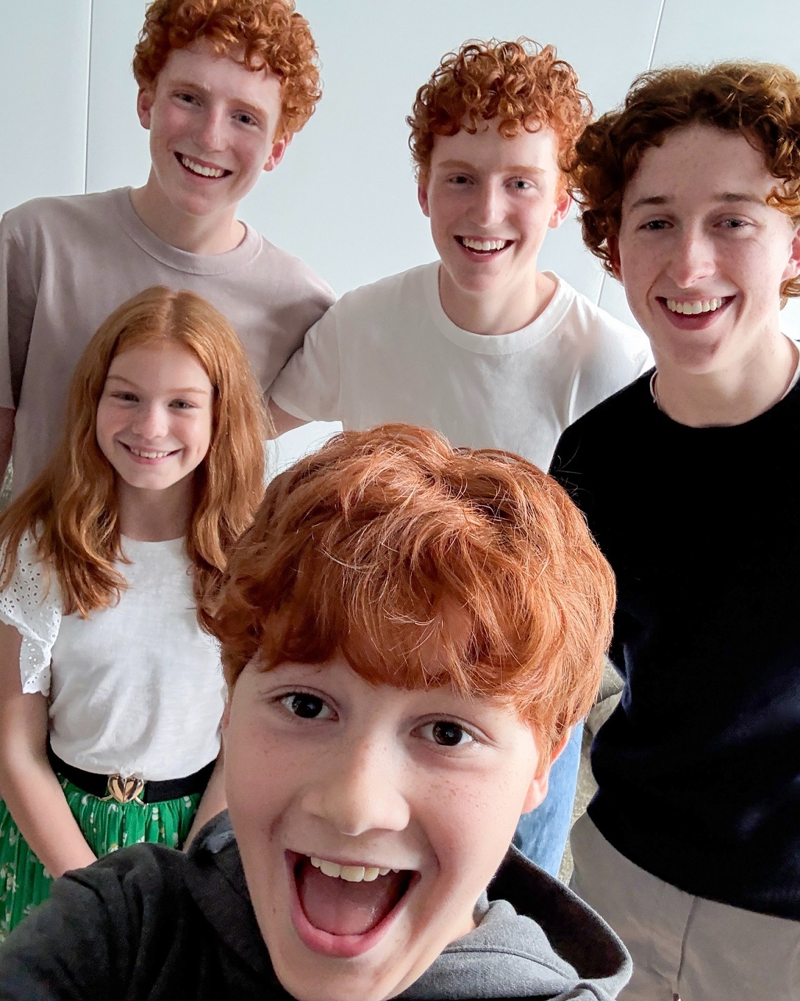 Série de Harry Potter escala atores para a icônica família Weasley