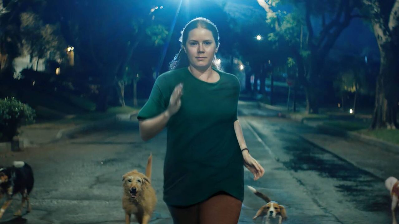 Entenda o final de Canina