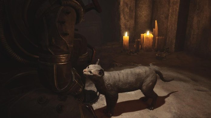 Cronos: The New Dawn - Todos os gatos e suas localizações