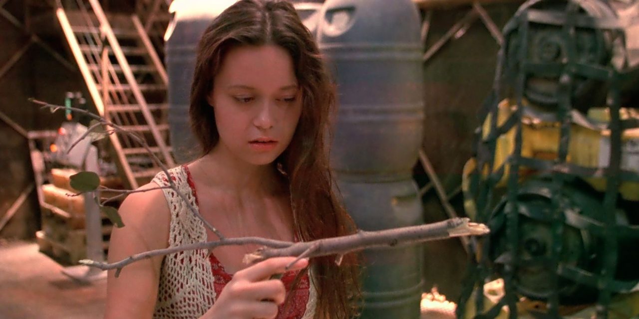Entenda o final de Firefly