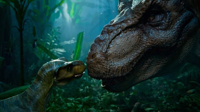 MixCollage-27-Oct-2025-11-43-AM