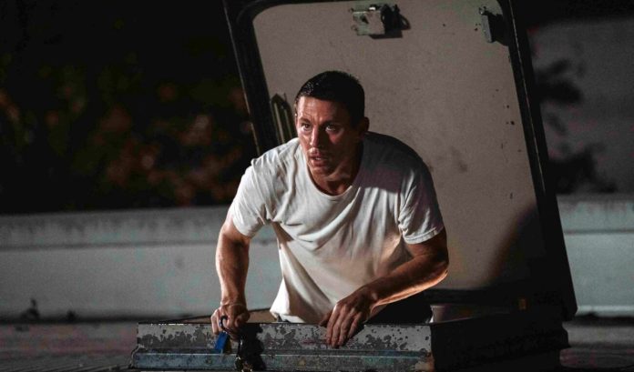 Descubra a história real por trás de O Bom Bandido