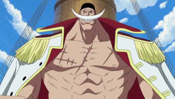 One Piece - Teoria mostra que Shamrock pode ter causado a cicatriz no peito de Barba Branca