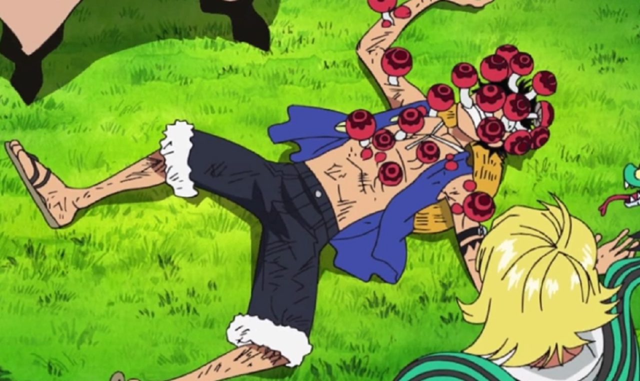 Resumo do arco de Amazon Lily de One Piece