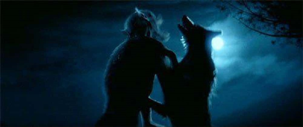 Fatos que você provavelmente não sabia sobre os Animago de de Harry Potter