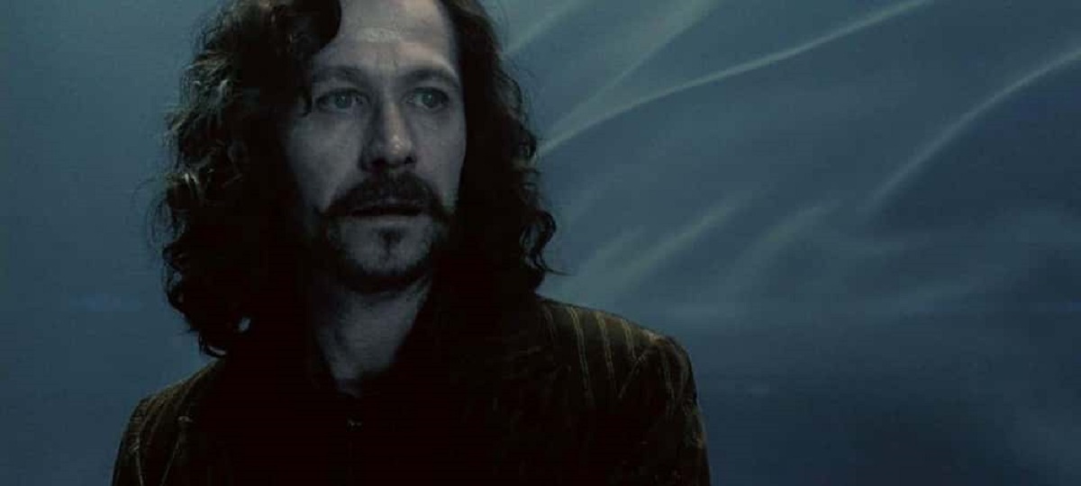 Fatos que você provavelmente não sabia sobre os Animago de de Harry Potter