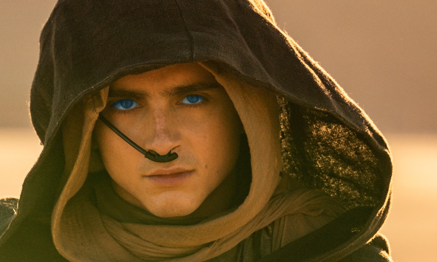 Timothée Chalamet confirma salto temporal em Duna: Parte 3