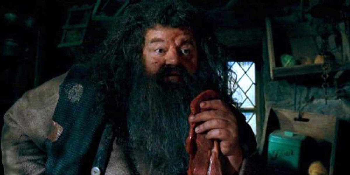 Fatos que você provavelmente não sabia sobre Hagrid de Harry Potter