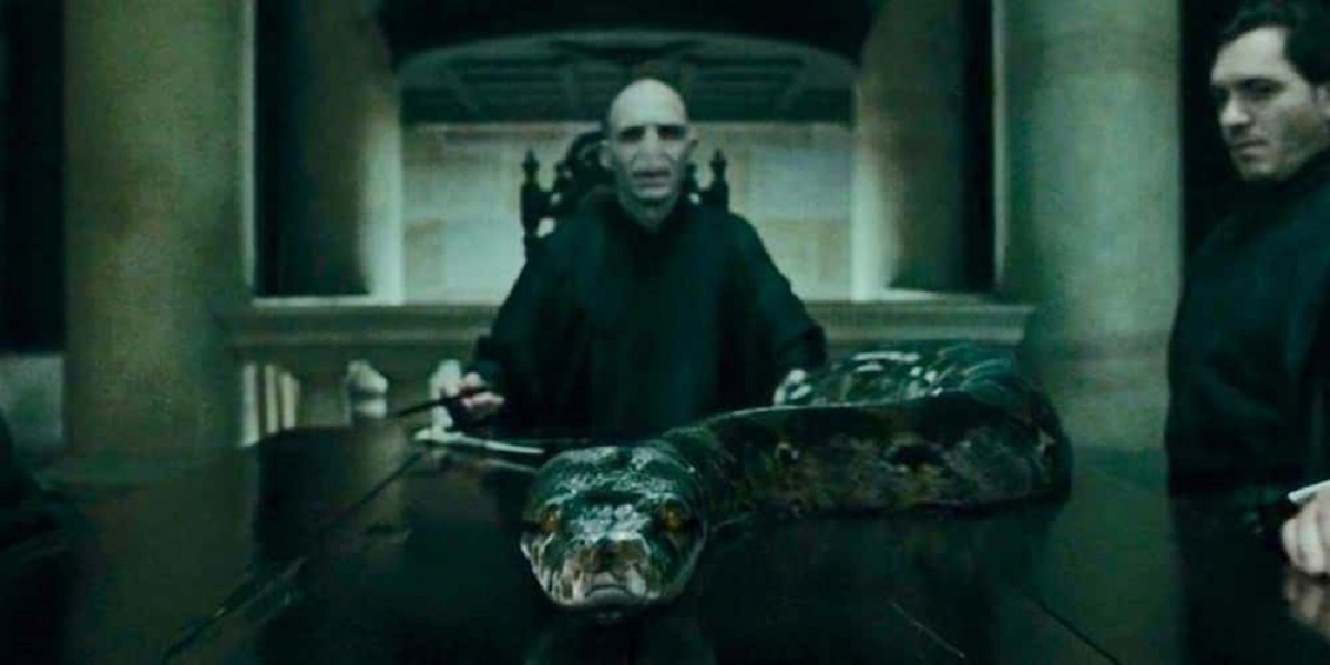 Fatos que você provavelmente não sabia sobre as Horcruxes de Harry Potter