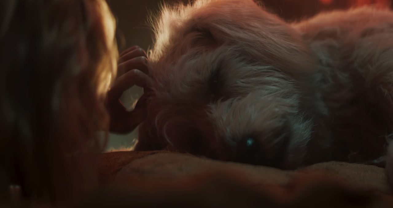 Krypto em perigo? Saiba qual será o destino do supercão no filme da Supergirl