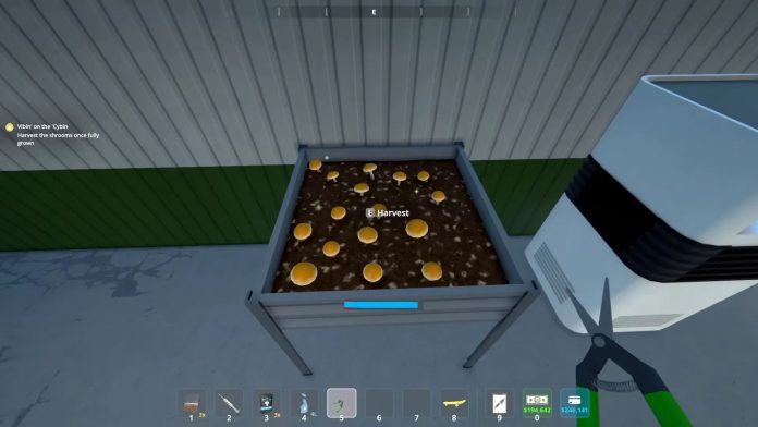 Schedule 1 - Como cultivar cogumelos