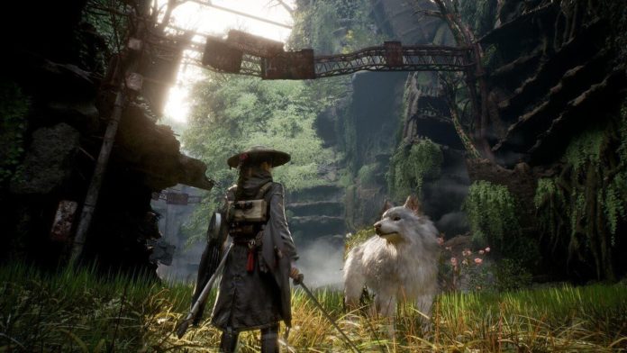 Diretor de Beast of Reincarnation responde às críticas sobre gráficos dos jogos da Game Freak