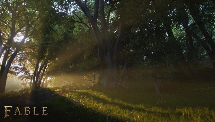 Novo Fable não terá cão companheiro e até desenvolvedores lamentam decisão