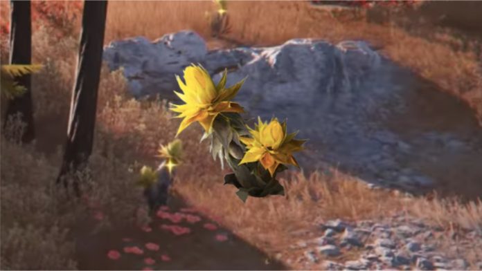 Arknights Endfield - Como conseguir Folha de Areia