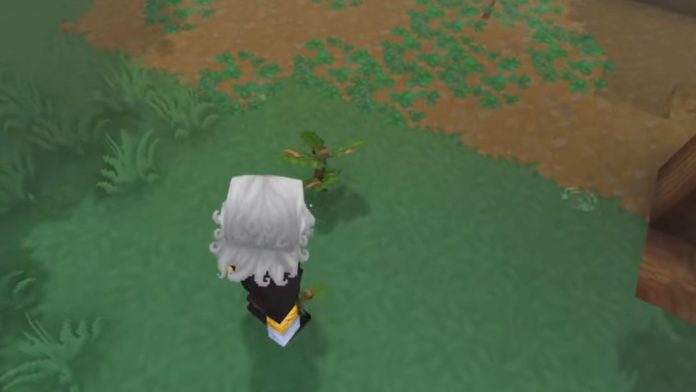 Hytale - Como reflorestar e plantar árvores