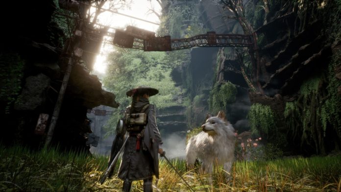 Beast of Reincarnation promete não ser um Souls-like e ser um jogo mais acessível para todos