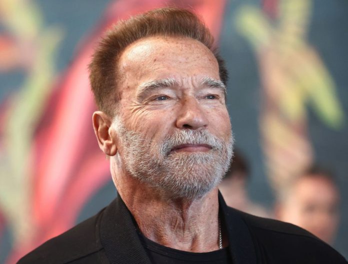 Arnold Schwarzenegger pode voltar às franquias Predator, Commando e Conan