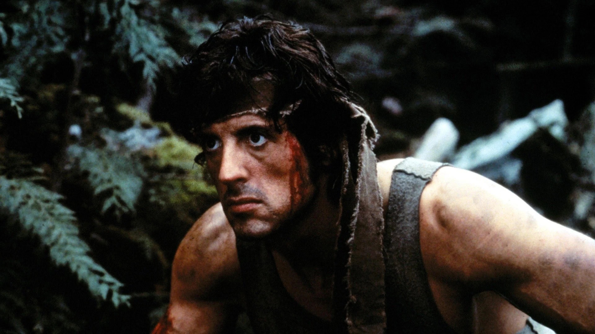 John Rambo, prelúdio com Noah Centineo, ganha data de estreia nos cinemas