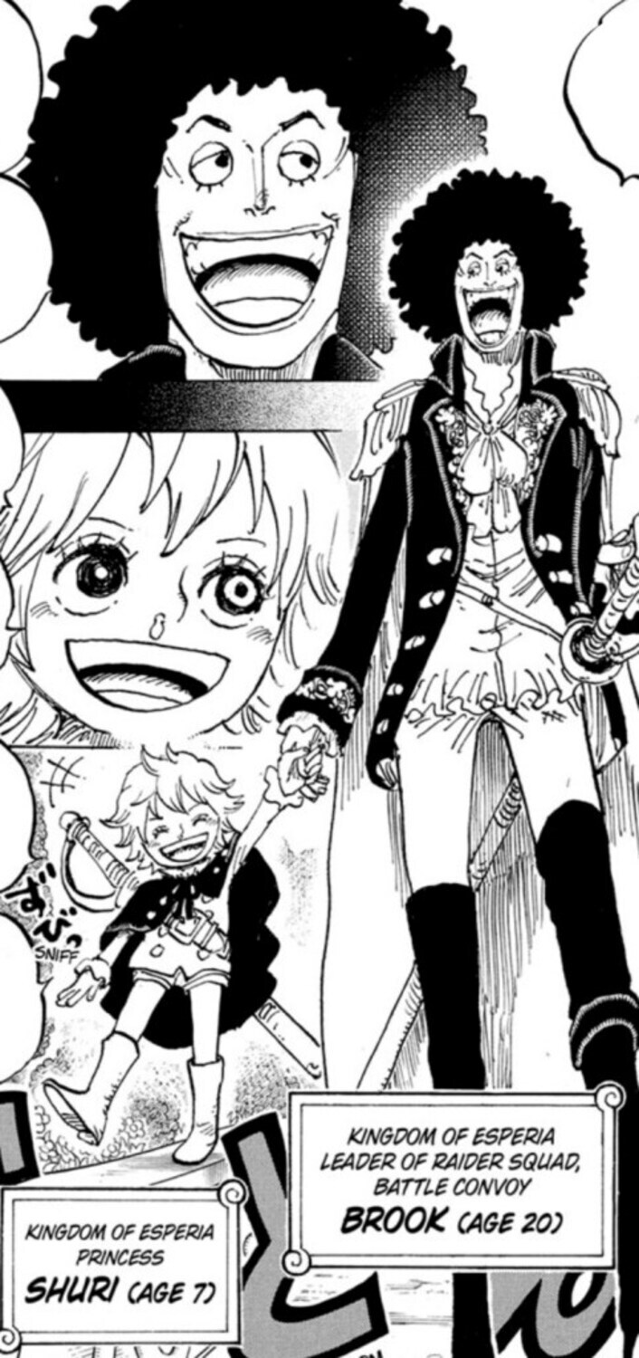 One Piece 1183 revela origem secreta de Brook após 19 anos