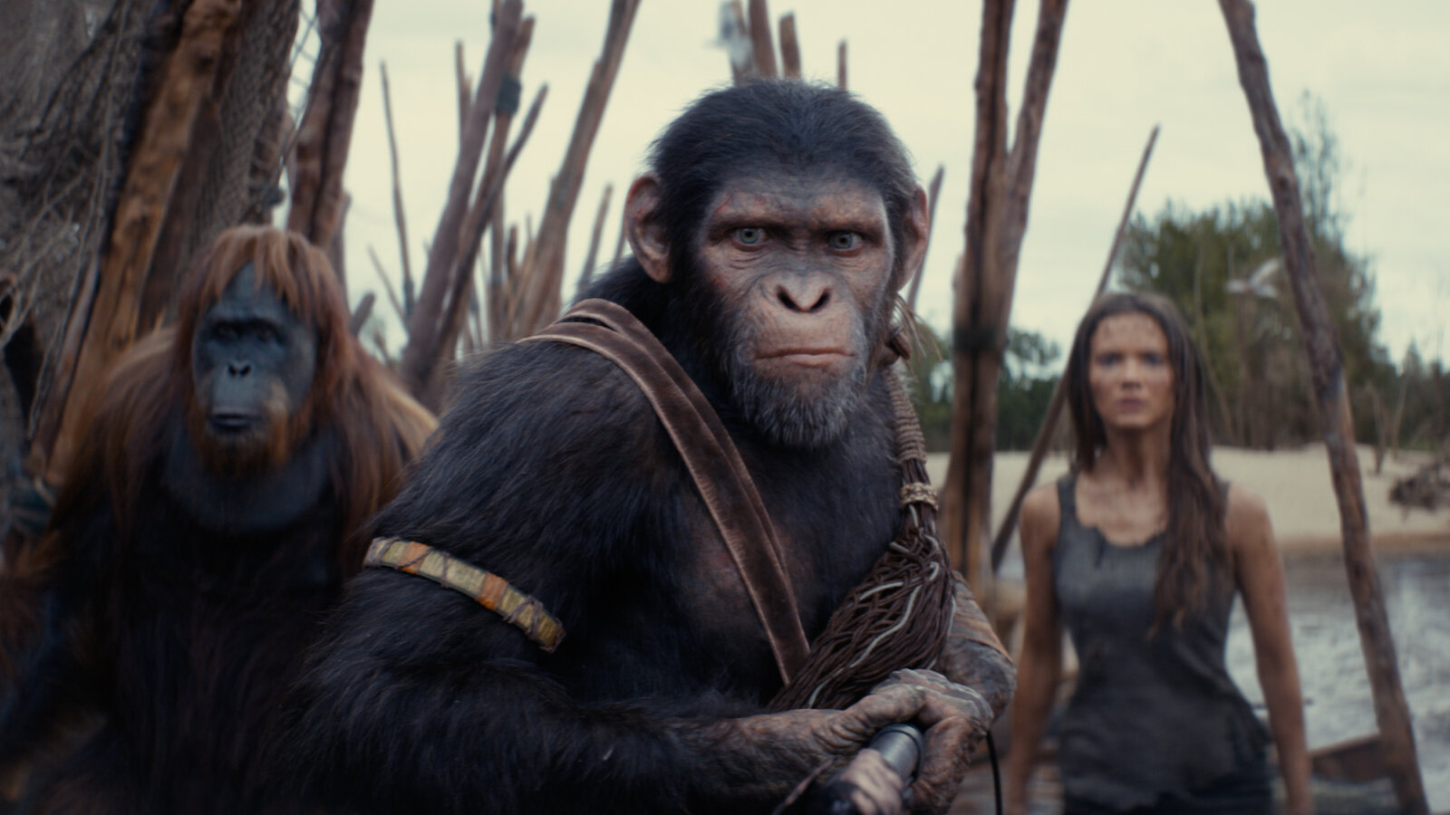 Novo filme de Planeta dos Macacos é confirmado com diretor de Quarteto Fantástico