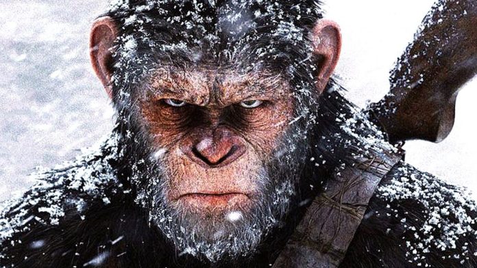 Novo filme de Planeta dos Macacos é confirmado com diretor de Quarteto Fantástico