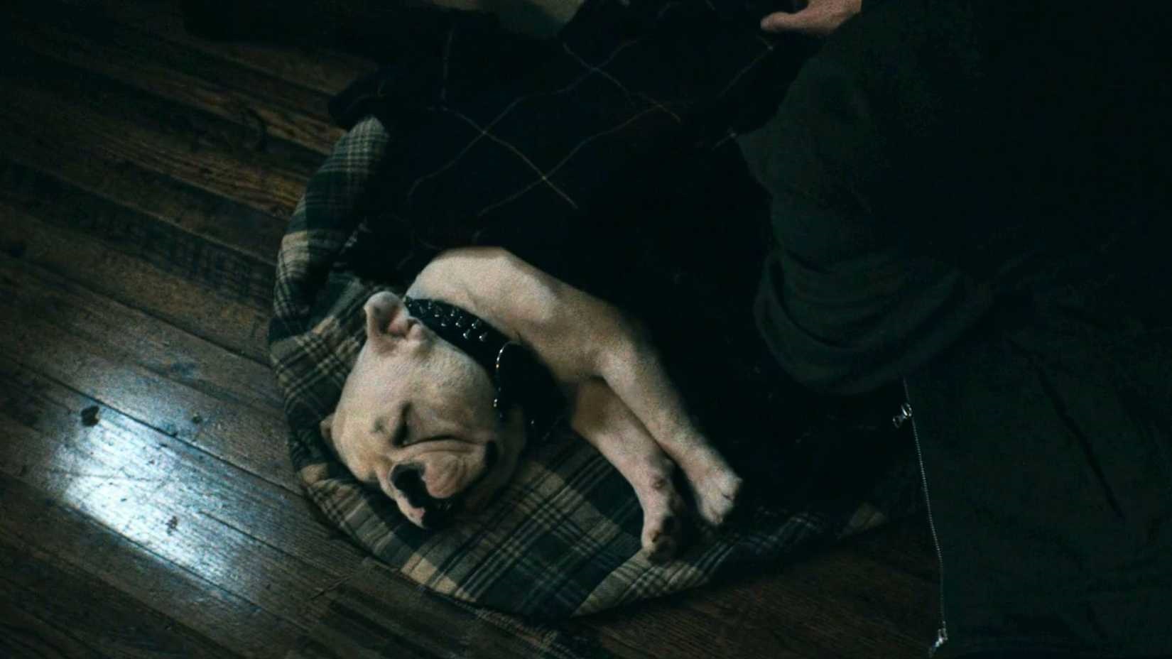 The Boys: confira todas as mortes do episódio final da série e como cada uma aconteceu