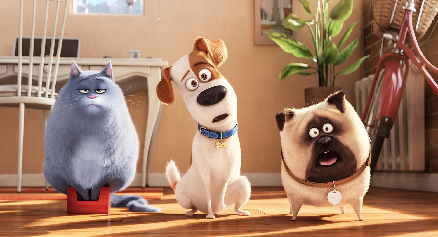 Illumination revela que Pets 3 e Sing 3 estão em desenvolvimento