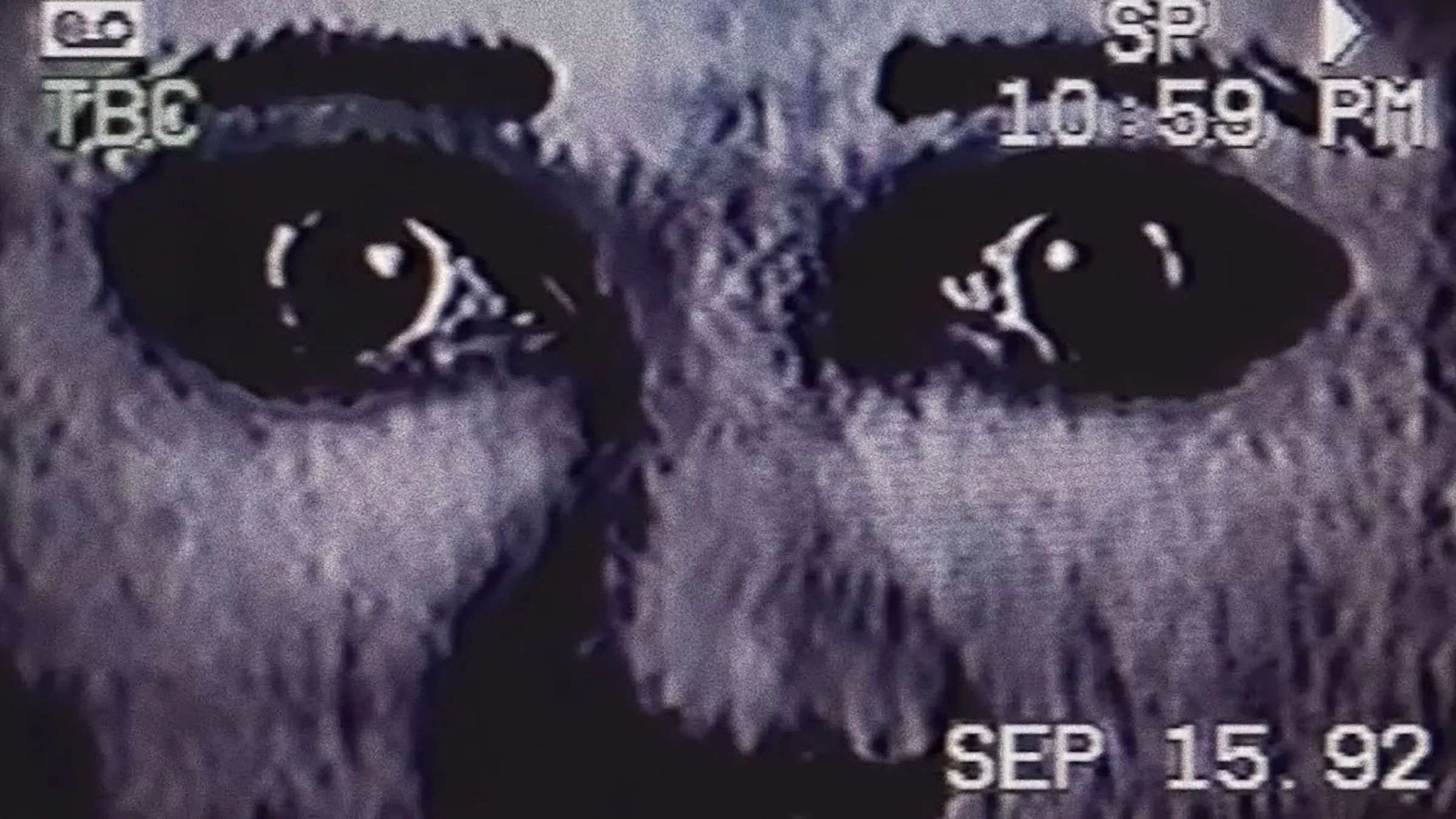 Fenômeno do terror no YouTube, The Mandela Catalogue vai virar filme com Steven Spielberg na produção