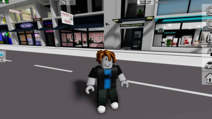Menino-de-11-anos-rouba-US-2.000-no-Roblox