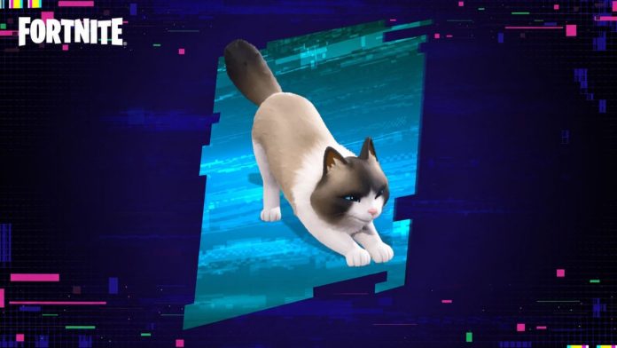 Fancy Ragdoll já está disponível no Fortnite