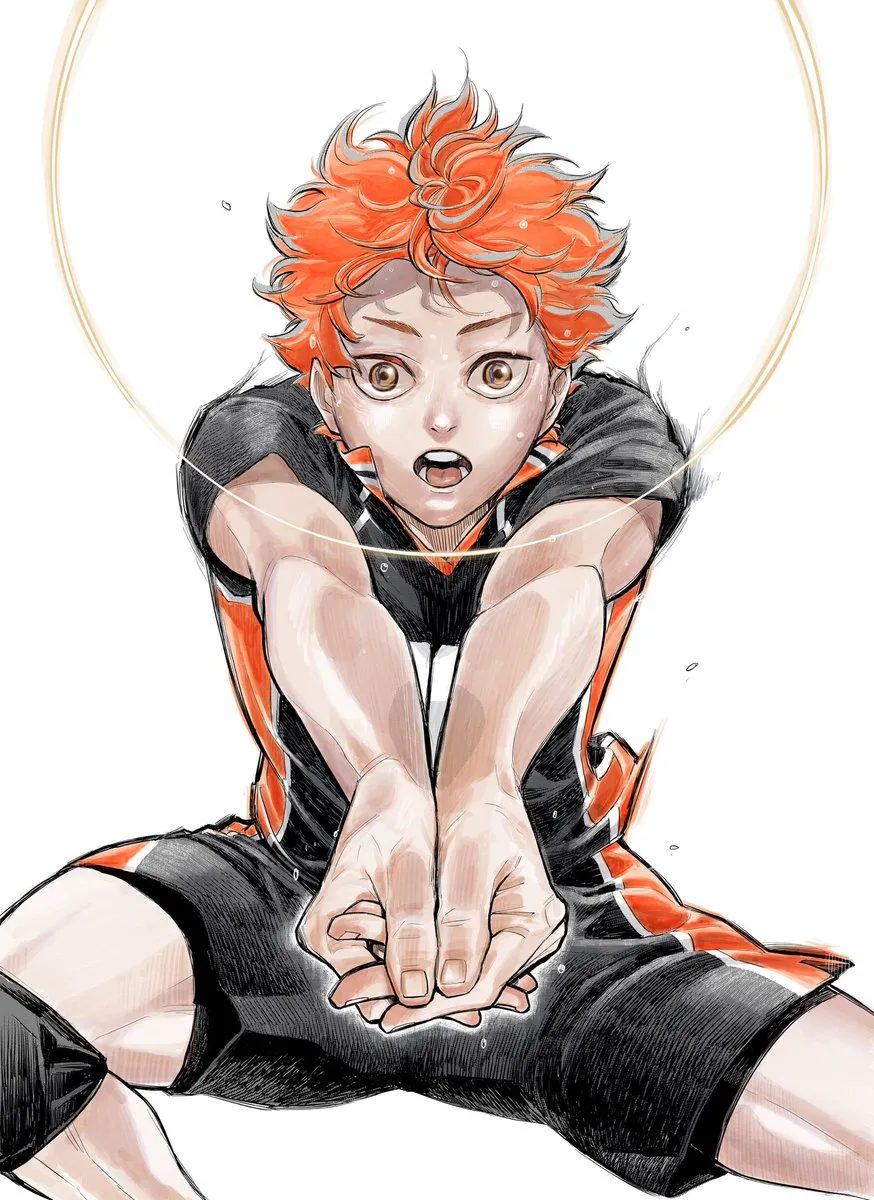 Haikyu Hinata Visual